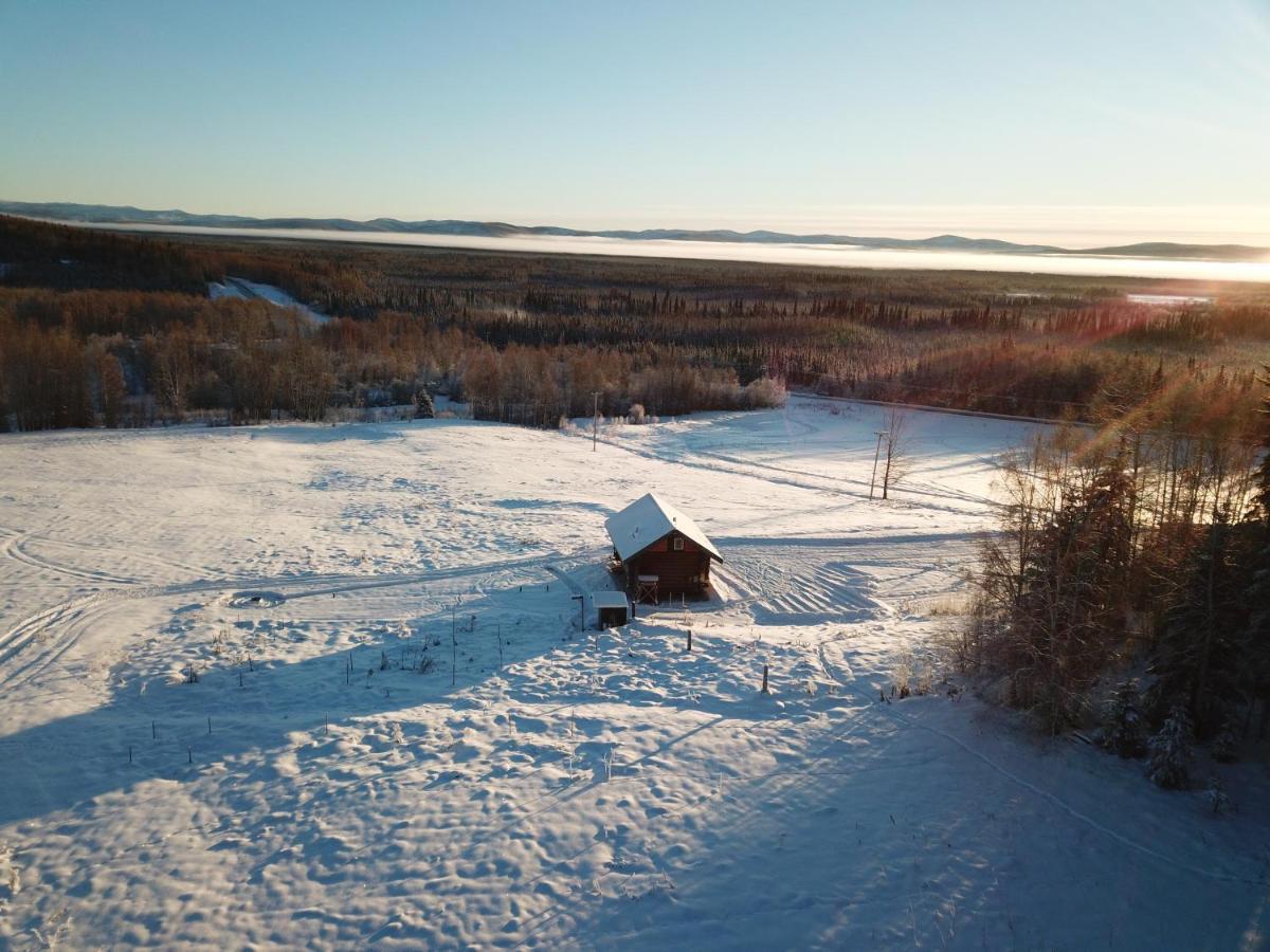 Secluded Log Cabin, 30 Min From Chena Hot Springs Pleasant Valley ภายนอก รูปภาพ