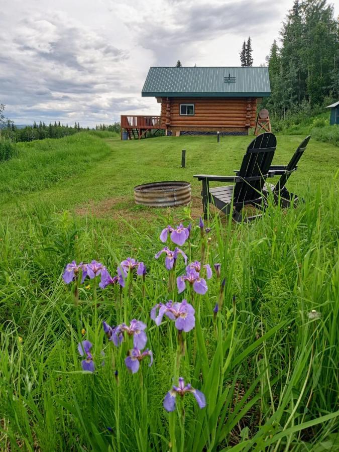 Secluded Log Cabin, 30 Min From Chena Hot Springs Pleasant Valley ภายนอก รูปภาพ